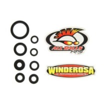 Set garnituri pentru motor WINDEROSA