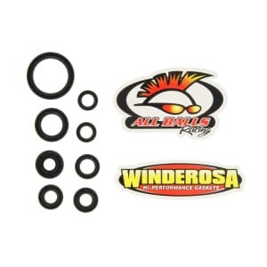 Set garnituri pentru motor WINDEROSA