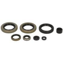 Set garnituri pentru motor WINDEROSA