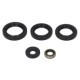 Set garnituri motor WINDEROSA Kawasaki KVF 400 1997-2002