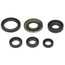 Set garnituri pentru motor WINDEROSA