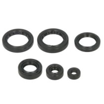 Set garnituri pentru motor WINDEROSA