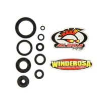 Set garnituri pentru motor WINDEROSA