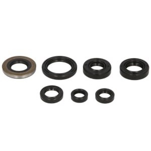 Set garnituri pentru motor WINDEROSA