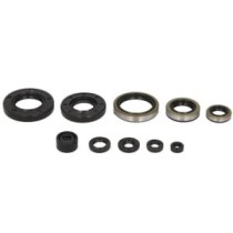 Set garnituri pentru motor WINDEROSA