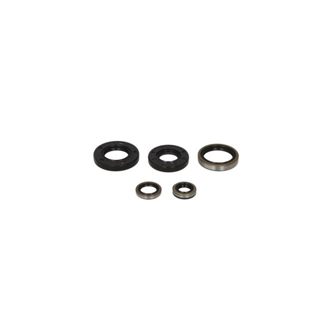 Set garnituri pentru motor WINDEROSA