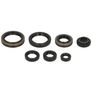 Set garnituri pentru motor WINDEROSA