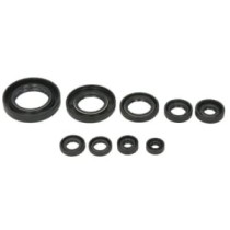 Set garnituri pentru motor WINDEROSA