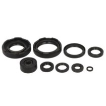 Set garnituri pentru motor WINDEROSA