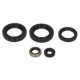 Set garnituri motor WINDEROSA Kawasaki KVF 300 1999-2002 garnituri motor-set motor WINDEROSA