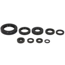 Set garnituri pentru motor WINDEROSA