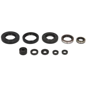 Set garnituri pentru motor WINDEROSA