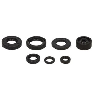 Set garnituri pentru motor WINDEROSA