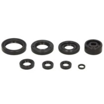 Set garnituri pentru motor WINDEROSA