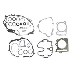 Set garnituri complet, motor WINDEROSA