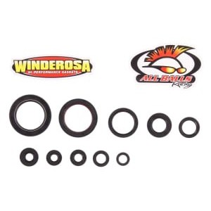 Set garnituri pentru motor WINDEROSA