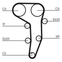 Set curea de distributie CONTITECH