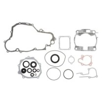 Set garnituri complet, motor WINDEROSA