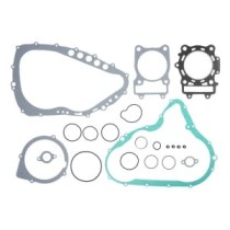 Set garnituri complet, motor WINDEROSA