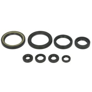 Set garnituri pentru motor WINDEROSA