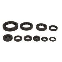 Set garnituri pentru motor WINDEROSA