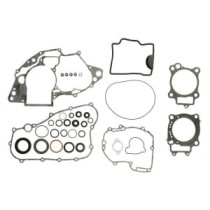 Set garnituri complet, motor WINDEROSA