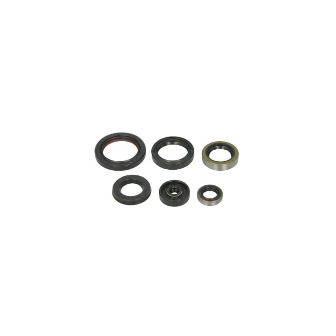 Set garnituri pentru motor WINDEROSA