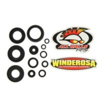 Set garnituri pentru motor WINDEROSA