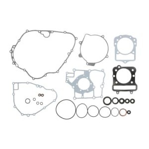 Set garnituri complet, motor WINDEROSA