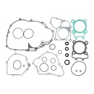 Set garnituri complet, motor WINDEROSA