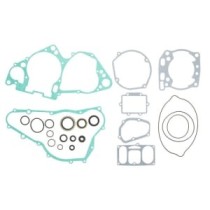 Set garnituri complet, motor WINDEROSA