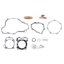 Set garnituri complet, motor WINDEROSA