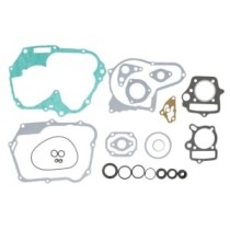 Set garnituri complet, motor WINDEROSA