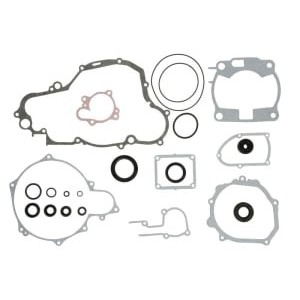 Set garnituri complet, motor WINDEROSA