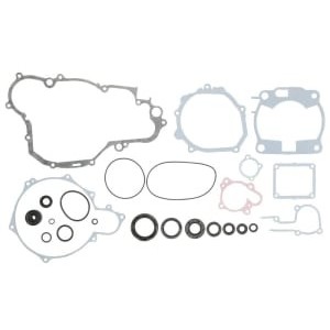 Set garnituri complet, motor WINDEROSA