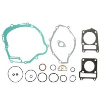 Set garnituri complet, motor WINDEROSA