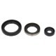 Set garnituri motor WINDEROSA Engine gaskets set Motor > Garnituri de motor-set