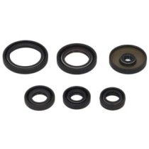 Set garnituri pentru motor WINDEROSA