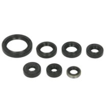 Set garnituri pentru motor WINDEROSA