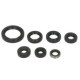 Set garnituri motor WINDEROSA Kawasaki KSF 250 1987-2004 Motor Garnituri Set Motor