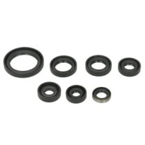 Set garnituri pentru motor WINDEROSA