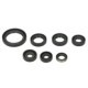 Set garnituri motor WINDEROSA Kawasaki KSF 250 1987-2004 Motor Garnituri Set Motor