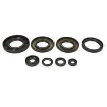 Set garnituri pentru motor WINDEROSA