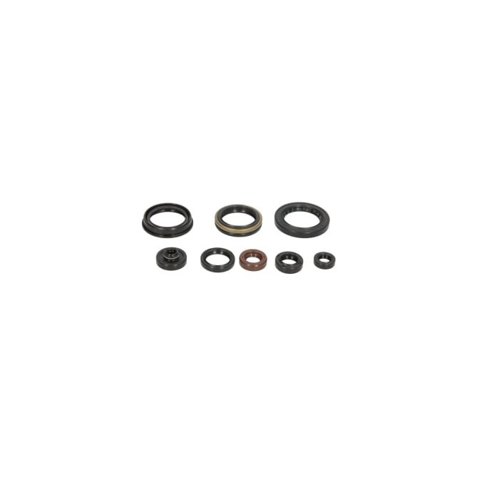 Set garnituri pentru motor WINDEROSA