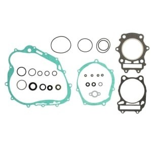 Set garnituri complet, motor WINDEROSA