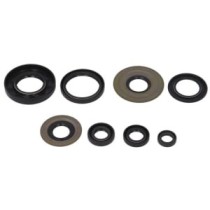 Set garnituri pentru motor WINDEROSA