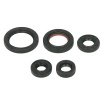 Set garnituri pentru motor WINDEROSA