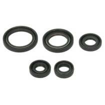 Set garnituri pentru motor WINDEROSA