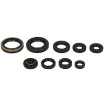 Set garnituri pentru motor WINDEROSA