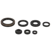 Set garnituri pentru motor WINDEROSA